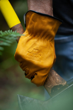 Bear Knuckles Bodacious Water-Resistant Cowhide Driver Gloves - D357