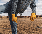 Bear Knuckles Bushwacker Heavy-Duty Buffalo Driver Gloves - HD361